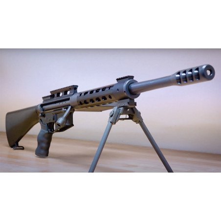CARABINE 50 BMG SAFE HARBOR
