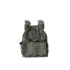Gillet Porte-Plaque Balistique Quick Release Mollé
