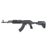 Plateforme AK roumaine moderne RAK1 Tactical