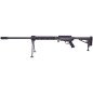 CARABINE 50 BMG SAFE HARBOR