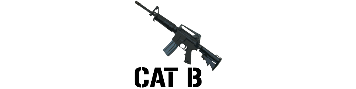 CARABINES SEMI-AUTOMATIQUES