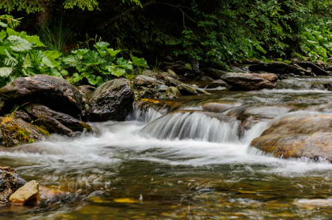 Comment filtrer ou purifier l’eau en milieu sauvage ?